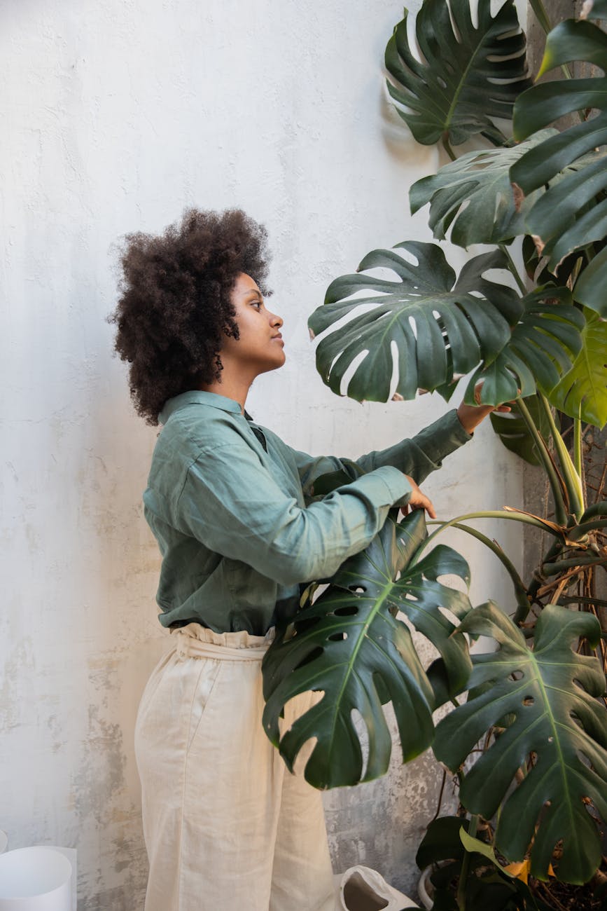 person in green dress shirt standing beside the swiss cheese plant